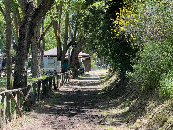 Ciclovia vicino al lido Albaia: fondo sterrato, fangoso, ombreggiato. Ai bordi staccionata in legno, alberi e densa vegetazione.